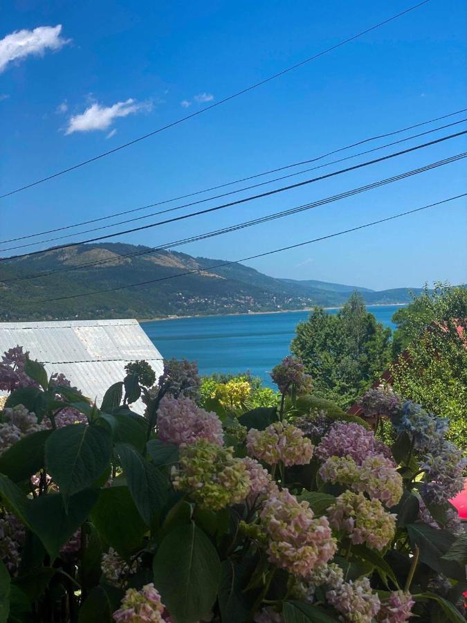 Petar Apartment Mavrovo Exteriér fotografie