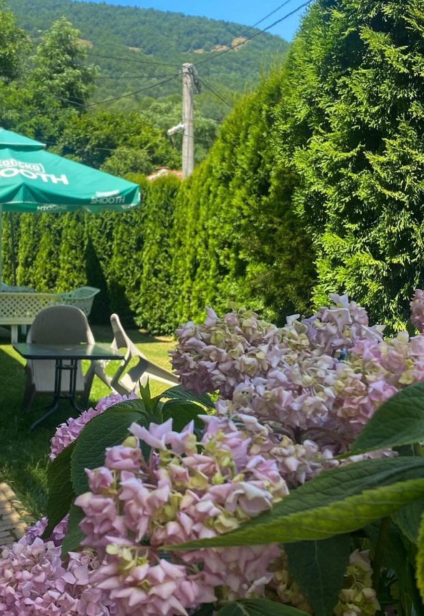 Petar Apartment Mavrovo Exteriér fotografie