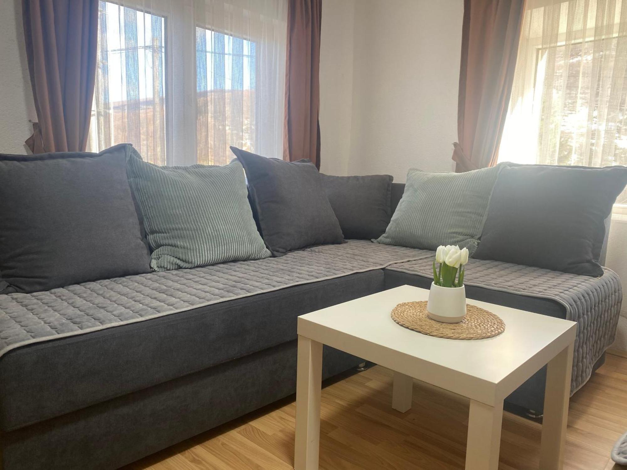 Petar Apartment Mavrovo Exteriér fotografie